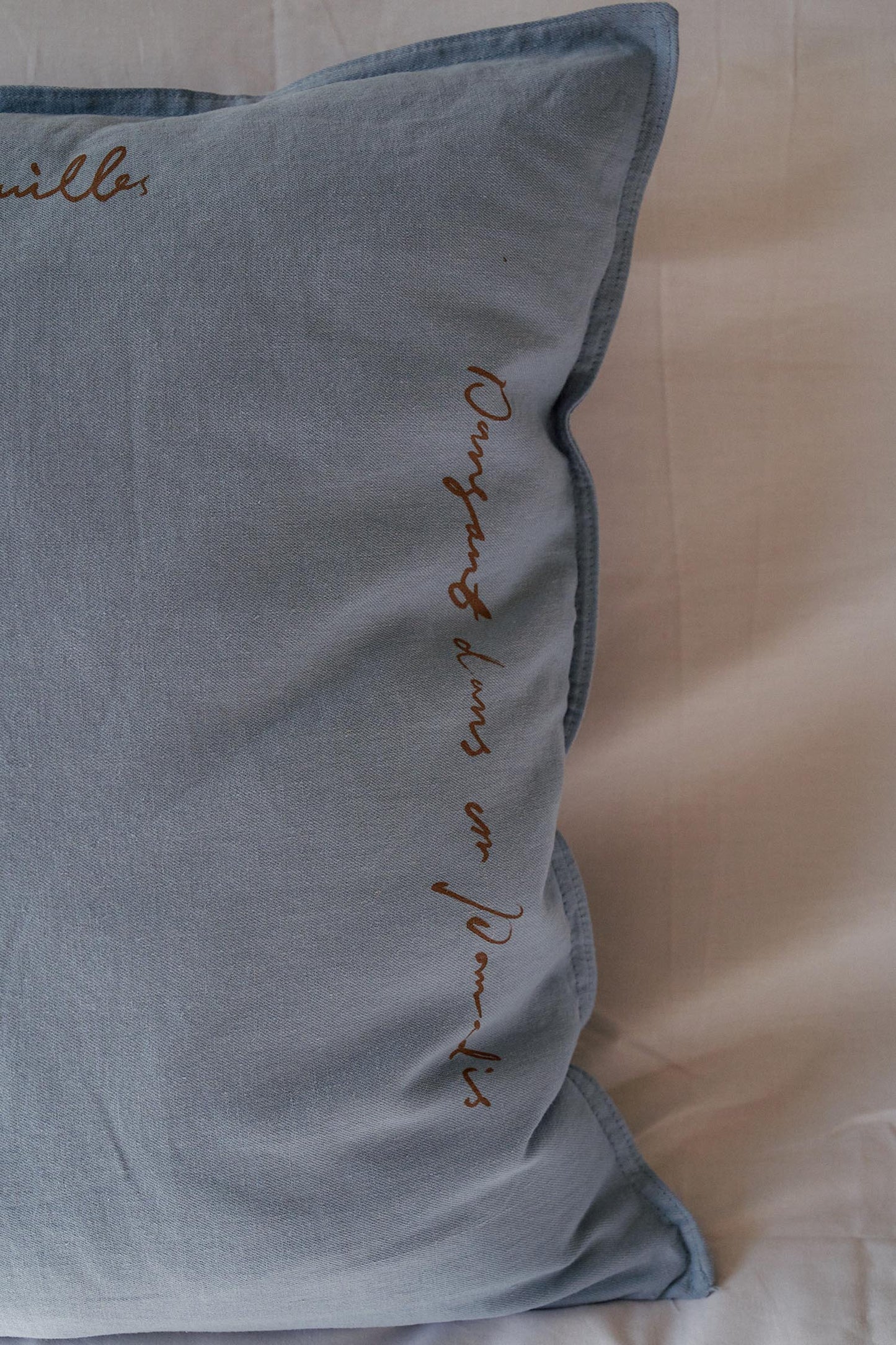 Breezy Day Cushion Cover (Sky)
